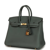 Hermes Birkin 25 Vert Amande Togo Gold Hardware
