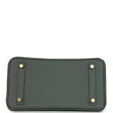 Hermes Birkin 25 Vert Amande Togo Gold Hardware