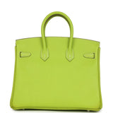 Pre-owned Hermes Candy Birkin 25 Kiwi Candy Epsom Palladium Hardware