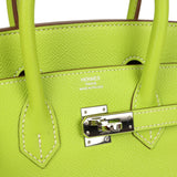 Pre-owned Hermes Candy Birkin 25 Kiwi Candy Epsom Palladium Hardware