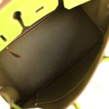 Pre-owned Hermes Candy Birkin 25 Kiwi Candy Epsom Palladium Hardware