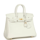 Hermes Birkin 25 New White Swift Gold Hardware