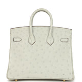 Hermes Special Order (HSS) Birkin 25 Gris Perle Verso Ostrich Brushed Gold Hardware