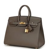 Hermes Birkin Sellier 25 Etain Epsom Gold Hardware