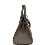 Hermes Birkin Sellier 25 Etain Epsom Gold Hardware