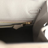 Hermes Birkin Sellier 25 Etain Epsom Gold Hardware