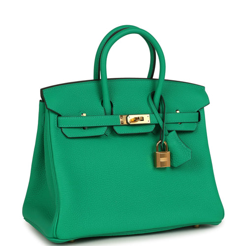 Hermes Birkin 25 Menthe Togo Gold Hardware