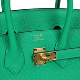 Hermes Birkin 25 Menthe Togo Gold Hardware