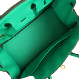 Hermes Birkin 25 Menthe Togo Gold Hardware