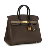 Hermes Birkin 25 Tri-color Ecorce, Etoupe and Black Epsom Gold Hardware