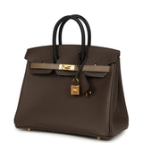 Hermes Birkin 25 Tri-color Ecorce, Etoupe and Black Epsom Gold Hardware