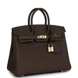 Hermes Birkin 25 Ecorce Togo Gold Hardware