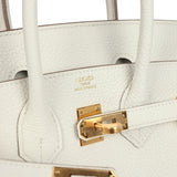 Hermes Birkin 25 Mushroom Togo Gold Hardware