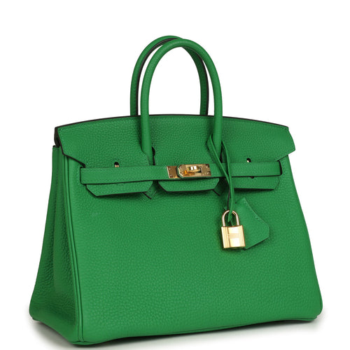 Hermes Birkin 25 Bambou Togo Gold Hardware