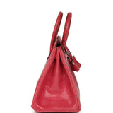 Vintage Hermes Birkin 25 Fuchsia Varanus Niloticus Lizard Palladium Hardware