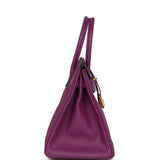 Pre-owned Hermes Birkin 30 Anemone Epsom Gold Hardware