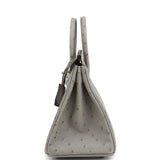 Hermes Birkin 25 Gris Mouette Ostrich Palladium Hardware - Thumbnail View 3