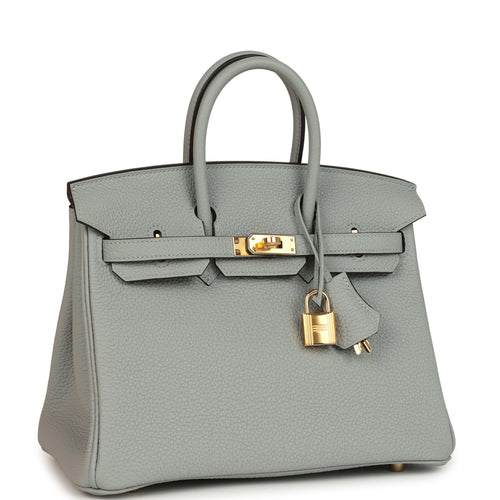 Hermes Birkin 25 Bleu Glacier Togo Gold Hardware