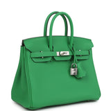 Hermes Birkin 25 Bambou Togo Palladium Hardware