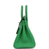 Hermes Birkin 25 Bambou Togo Palladium Hardware