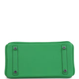 Hermes Birkin 25 Bambou Togo Palladium Hardware