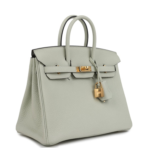 Hermes Birkin 25 Gris Neve Togo Gold Hardware