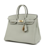 Hermes Birkin 25 Gris Neve Togo Gold Hardware