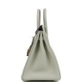 Hermes Birkin 25 Gris Neve Togo Gold Hardware