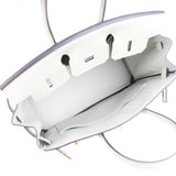 Hermes Birkin 25 Gris Neve Togo Gold Hardware