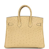 Hermes Birkin 25 Trench Ostrich Gold Hardware