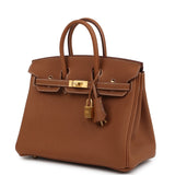 Hermes Birkin 25 Gold Togo Brushed Gold Hardware