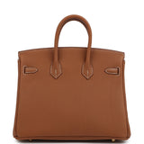 Hermes Birkin 25 Gold Togo Brushed Gold Hardware
