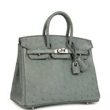 Hermes Birkin 25 Vert Amande Ostrich Palladium Hardware