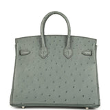 Hermes Birkin 25 Vert Amande Ostrich Palladium Hardware