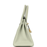 Hermes Birkin 30 Gris Neve Togo Gold Hardware