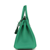 Hermes Birkin 25 Vert Vertigo Togo Palladium Hardware