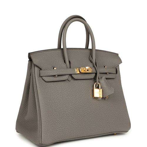 Hermes Birkin 25 Etain Togo Gold Hardware