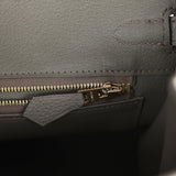 Hermes Birkin 25 Etain Togo Gold Hardware