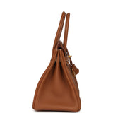 Hermes Birkin 30 Gold Togo Gold Hardware