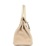 Hermes Birkin 30 Glycine Grizzly and Nata Swift Palladium Hardware