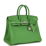 Hermes Birkin 25 Vert Yucca Togo Palladium Hardware