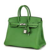 Hermes Birkin 25 Vert Yucca Togo Palladium Hardware