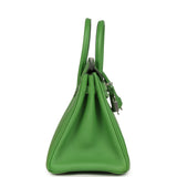 Hermes Birkin 25 Vert Yucca Togo Palladium Hardware