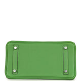 Hermes Birkin 25 Vert Yucca Togo Palladium Hardware