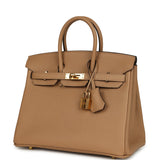 Pre-owned Hermes Birkin 25 Chai Togo Gold Hardware