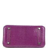 Pre-owned Hermes Birkin 25 Violet Varanus Niloticus Lizard Palladium Hardware