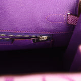 Pre-owned Hermes Birkin 25 Violet Varanus Niloticus Lizard Palladium Hardware