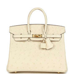 Hermes Birkin 25 Nata Ostrich Gold Hardware