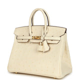 Hermes Birkin 25 Nata Ostrich Gold Hardware