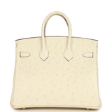 Hermes Birkin 25 Nata Ostrich Gold Hardware